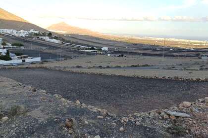 Landdistrikter / landbrugsjord til salg i Montaña Blanca, San Bartolomé, Lanzarote. 